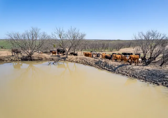 Photo 2 of Land for sale at Tbd Cr 300, Coleman, TX 76834 | MLS# 21210898 | Listing updated on 2026-09-08