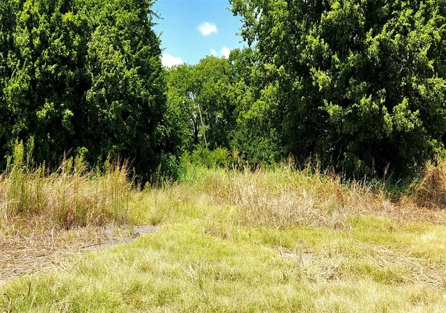 Photo 4 of Land for sale at 3632 Cr-619, Venus, TX 76084 | MLS# 21197287 | Listing updated on 2026-09-09