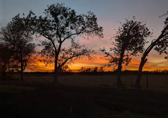 Photo 2 of Land for sale at 705 County Road 201, Marlin, TX 76661 | MLS# 21214526 | Listing updated on 2026-10-04