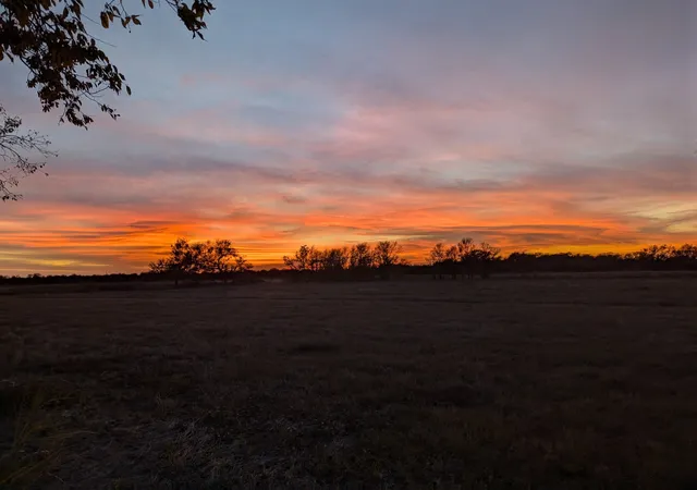 Photo 3 of Land for sale at 705 County Road 201, Marlin, TX 76661 | MLS# 21214526 | Listing updated on 2026-10-04