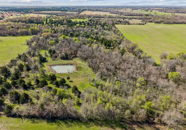 Photo 3 of Land for sale at Tbd Off County Road 4115, Cumby, TX 75433 | MLS# 21214604 | Listing updated on 2026-08-02