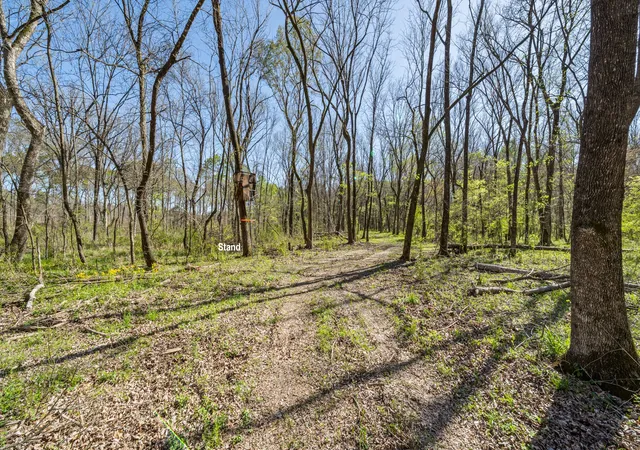 Photo 2 of Land for sale at Tbd County Road 462, Mineola, TX 75773 | MLS# 21215440 | Listing updated on 2026-07-29