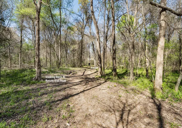 Photo 4 of Land for sale at Tbd County Road 462, Mineola, TX 75773 | MLS# 21215440 | Listing updated on 2026-07-29