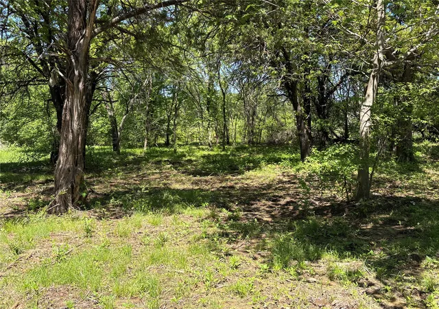 Photo 3 of Land for sale at Tbd 1 A Cr 167 Rd, Whitesboro, TX 76273 | MLS# 21221440 | Listing updated on 2026-09-10