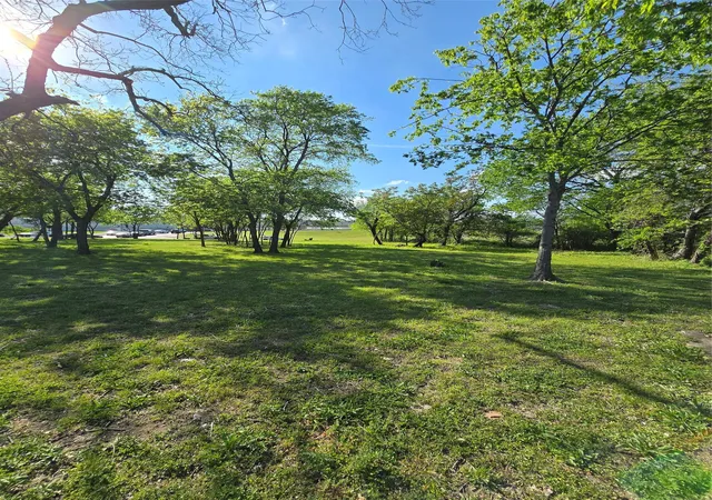 Photo 3 of Land for sale at 823 Millard St, Dallas, TX 75203 | MLS# 21221507 | Listing updated on 2026-09-12