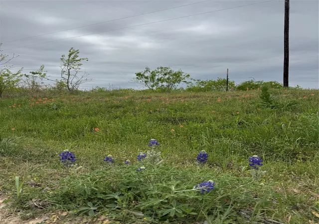 Photo 2 of Sale Pending at Tbd Se County Road 1280, Streetman, TX 75859 | MLS# 21221101 | Listing updated on 2026-09-14