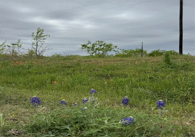 Photo 4 of Sale Pending at Tbd Se County Road 1280, Streetman, TX 75859 | MLS# 21221101 | Listing updated on 2026-09-14