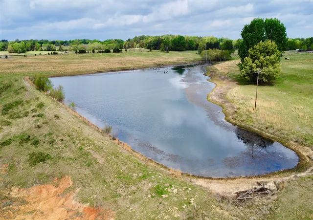 Photo 3 of Land for sale at Tbd Fm 1001, Cookville, TX 75558 | MLS# 21224411 | Listing updated on 2026-09-08