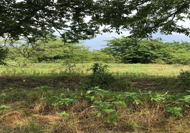 Photo 2 of Sale Pending at Lot 4, Lot 4 R2, 23 Acre Southmayd Rd, Collinsville, TX 76273 | MLS# 21196741 | Listing updated on 2026-09-09