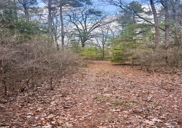 Land for sale at 000 Private Road 8000, Winnsboro, TX 75494 | MLS# 21230407