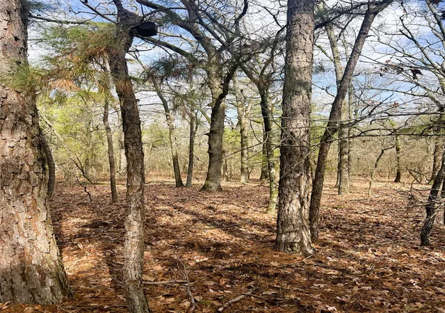Photo 2 of Land for sale at 000 Private Road 8000, Winnsboro, TX 75494 | MLS# 21230407 | Listing updated on 2026-09-09