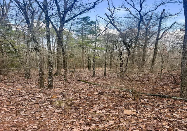 Photo 3 of Land for sale at 000 Private Road 8000, Winnsboro, TX 75494 | MLS# 21230407 | Listing updated on 2026-09-09