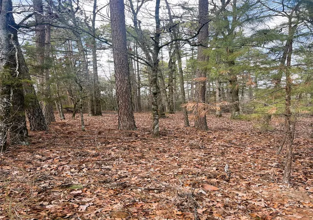 Photo 3 of Land for sale at 000 Private Road 8000, Winnsboro, TX 75494 | MLS# 21230407 | Listing updated on 2026-09-09