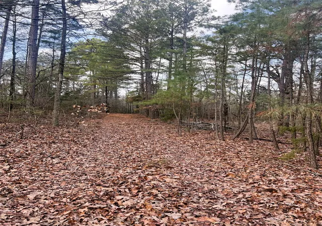 Photo 4 of Land for sale at 000 Private Road 8000, Winnsboro, TX 75494 | MLS# 21230407 | Listing updated on 2026-09-09