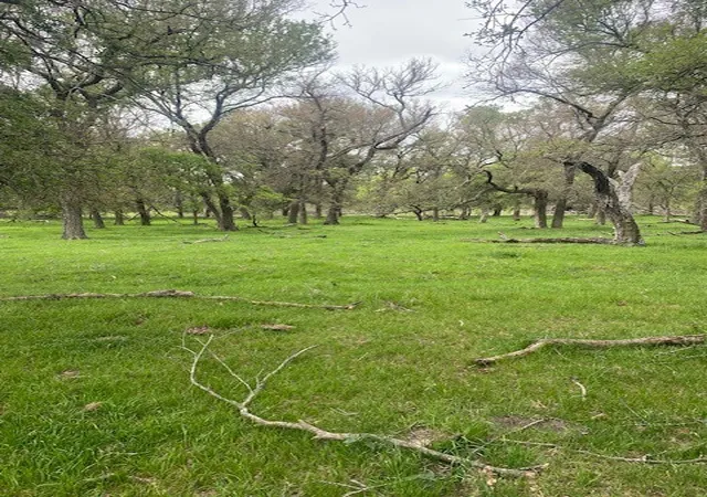 Photo 1 of Land for sale at 430 Cr 152, Riesel, TX 76682 | MLS# 21227056 | Listing updated on 2026-07-29
