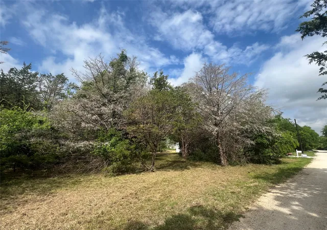 Photo 3 of Land for sale at L194 195 Nw County Road 3112, Purdon, TX 76679 | MLS# 21234568 | Listing updated on 2026-09-08