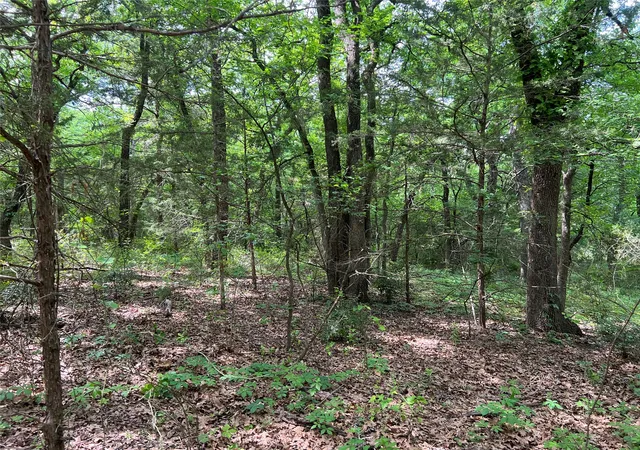 Photo 3 of Land for sale at 3024 Ida Ln, Alvarado, TX 76009 | MLS# 21233989 | Listing updated on 2026-10-06