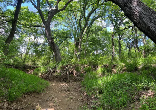 Photo 4 of Land for sale at 3024 Ida Ln, Alvarado, TX 76009 | MLS# 21233989 | Listing updated on 2026-10-06