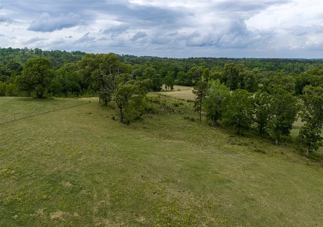 Photo 3 of Land for sale at 00 Tract 1 Cr 1615, Jacksonville, TX 75766 | MLS# 21236593 | Listing updated on 2026-07-30