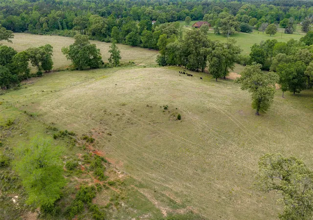 Photo 4 of Land for sale at 00 Tract 2 Cr 1615, Jacksonville, TX 75766 | MLS# 21236630 | Listing updated on 2026-07-30