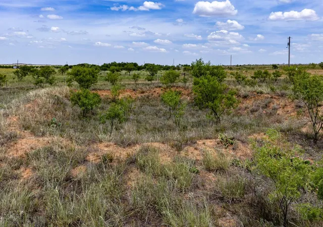 Photo 3 of Land for sale at Tract 3 Cr 463, Anson, TX 79501 | MLS# 21237390 | Listing updated on 2026-09-23