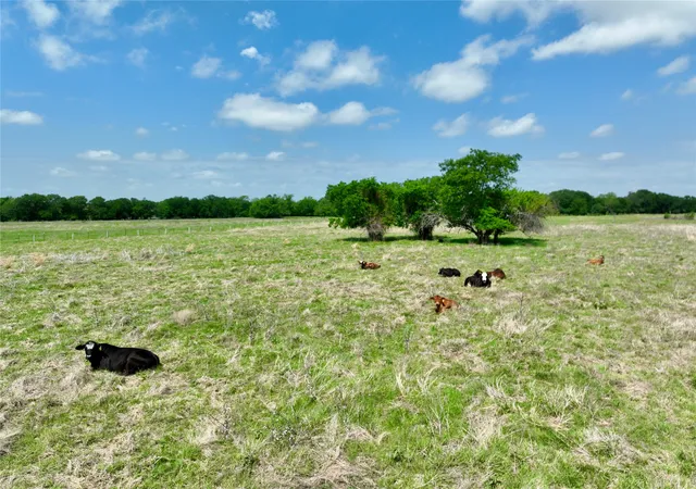 Photo 3 of Land for sale at Tbd 11 Acres Fm 1183, Ennis, TX 75119 | MLS# 21242189 | Listing updated on 2026-09-21