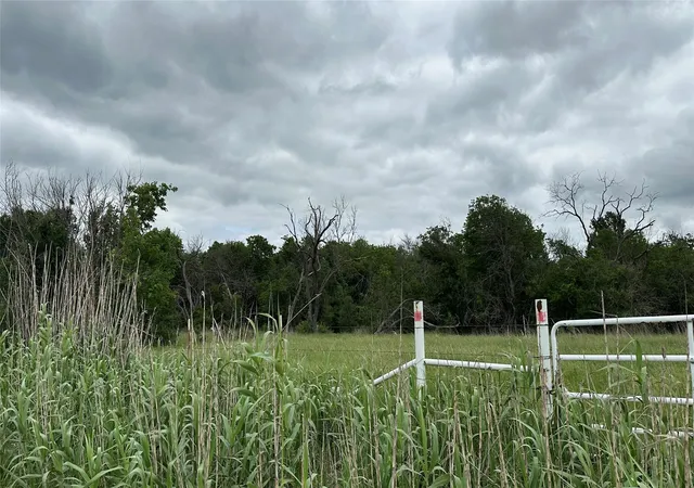 Photo 2 of Land for sale at Tbd Sw Fm 2320, Wortham, TX 76693 | MLS# 21248079 | Listing updated on 2026-08-01