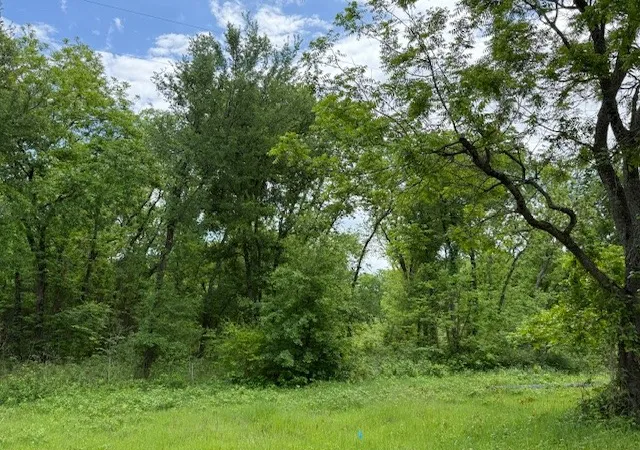 Photo 3 of Land for sale at 0000 Nw Cr 4071, Frost, TX 76641 | MLS# 21251088 | Listing updated on 2026-09-09