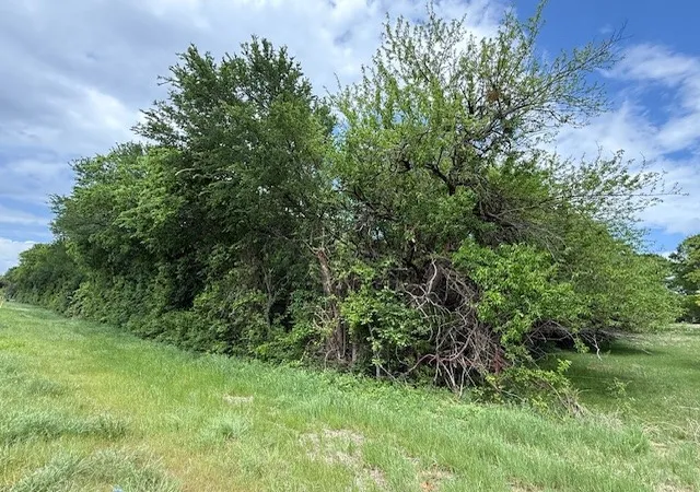 Photo 3 of Land for sale at 0000 Nw Cr 4071, Frost, TX 76641 | MLS# 21251088 | Listing updated on 2026-09-09