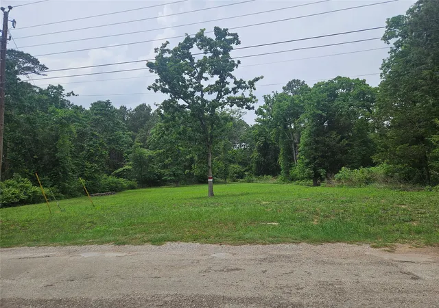 Photo 3 of Land for sale at 376 Elizabeth Dr, Bullard, TX 75757 | MLS# 21251377 | Listing updated on 2026-09-15