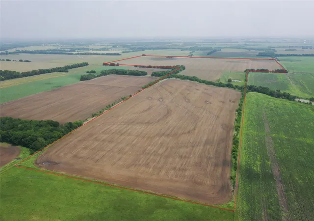Photo 3 of Land for sale at Tbd Fm 64, Pecan Gap, TX 75469 | MLS# 21251798 | Listing updated on 2026-09-15