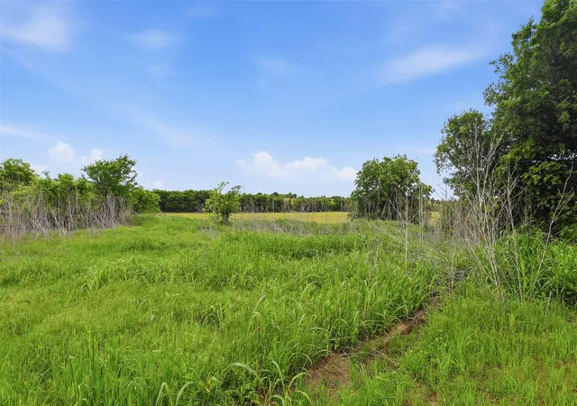 Photo 4 of Land for sale at 745 County Road 1123, Cleburne, TX 76033 | MLS# 21256141 | Listing updated on 2026-07-30