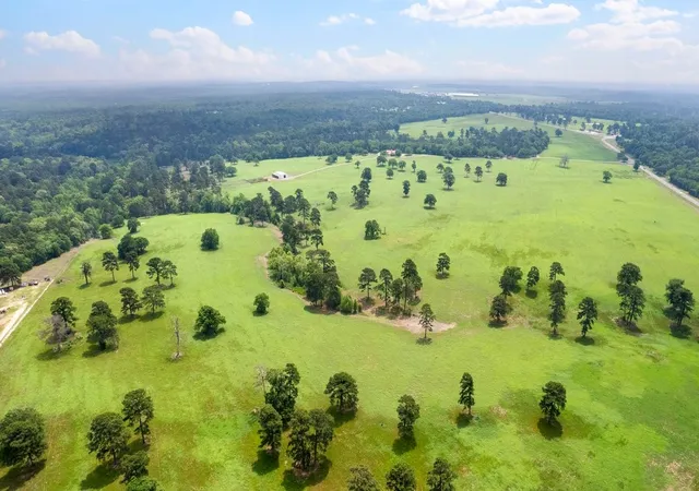 Photo 2 of Mansion for sale at 226 Fm 2869, Winnsboro, TX 75494 | MLS# 21257096 | Listing updated on 2026-09-10