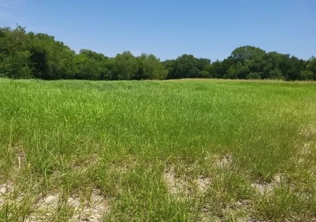 Photo 2 of Land for sale at Tbd Fm 121, Van Alstyne, TX 75495 | MLS# 21258307 | Listing updated on 2026-08-31