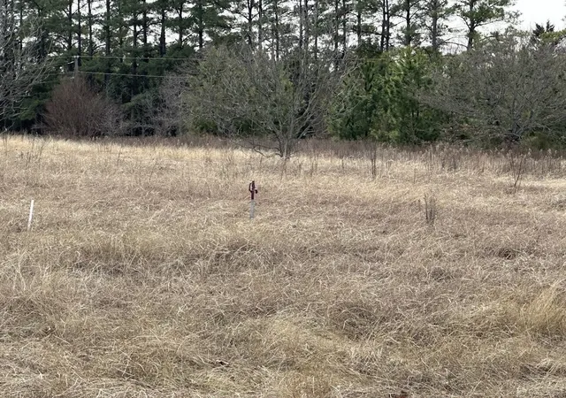 Photo 2 of Land for sale at 255 Shady Ln, Gordonville, TX 76245 | MLS# 21219965 | Listing updated on 2026-09-14