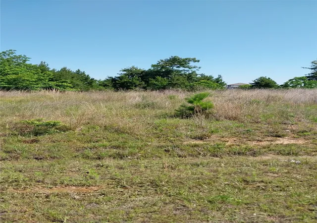 Photo 3 of Land for sale at 1715 Road 5729, Cleveland, TX 77327 | MLS# 21259787 | Listing updated on 2026-07-30