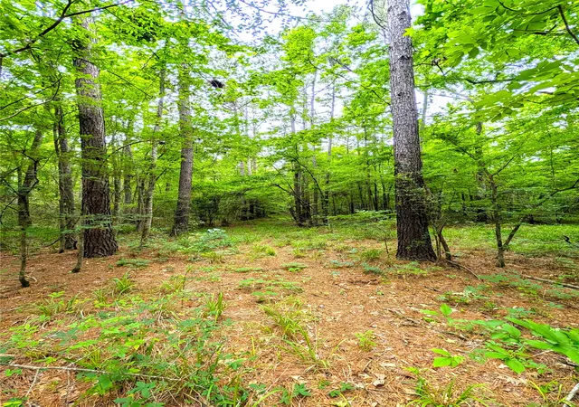 Photo 3 of Land for sale at 1931 County Road 4101, Jacksonville, TX 75766 | MLS# 21261531 | Listing updated on 2026-07-31