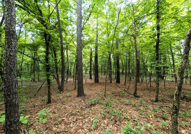 Photo 4 of Land for sale at 1931 County Road 4101, Jacksonville, TX 75766 | MLS# 21261531 | Listing updated on 2026-07-31