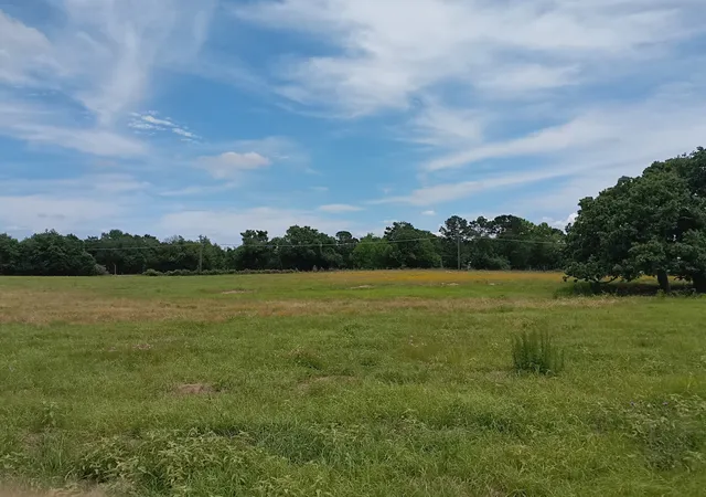Photo 1 of Land for sale at 35 Ac Fm 1512, Donie, TX 75838 | MLS# 21261176 | Listing updated on 2026-08-01