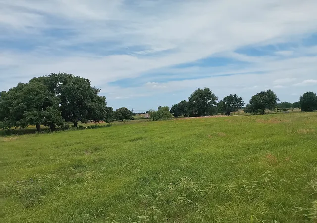 Photo 2 of Land for sale at 35 Ac Fm 1512, Donie, TX 75838 | MLS# 21261176 | Listing updated on 2026-08-01