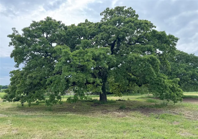 Photo 2 of Land for sale at 4532 Waples Rd, Granbury, TX 76049 | MLS# 21265175 | Listing updated on 2026-09-10