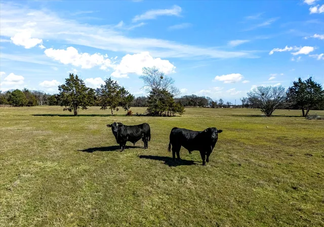 Photo 1 of Land for sale at 11095 E State Hwy 31, Kerens, TX 75144 | MLS# 21265819 | Listing updated on 2026-09-08