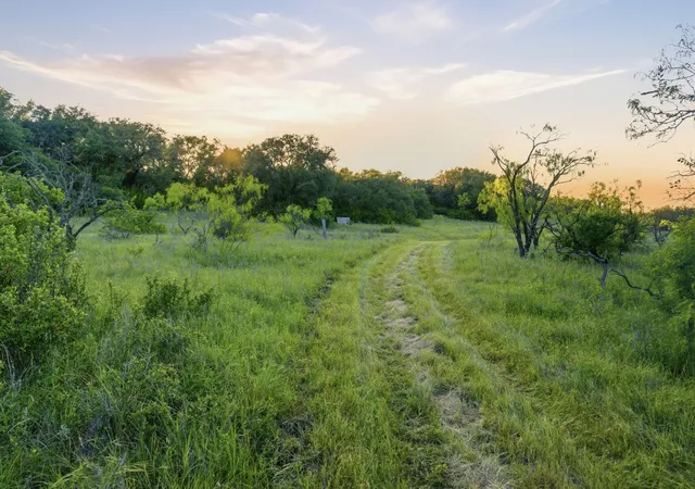 Photo 3 of Land for sale at 1343 County Road 188, Cross Plains, TX 76443 | MLS# 21267769 | Listing updated on 2026-09-16