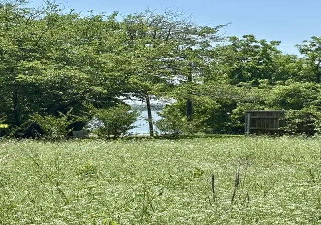 Photo 1 of Land for sale at 1345 Mike Rd, Quinlan, TX 75474 | MLS# 21266102 | Listing updated on 2026-09-04
