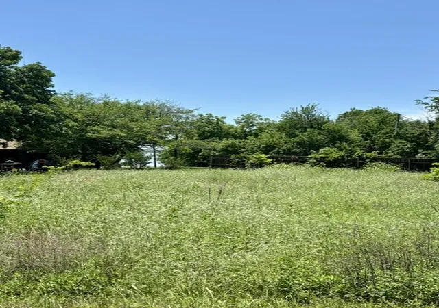 Photo 2 of Land for sale at 1345 Mike Rd, Quinlan, TX 75474 | MLS# 21266102 | Listing updated on 2026-09-04