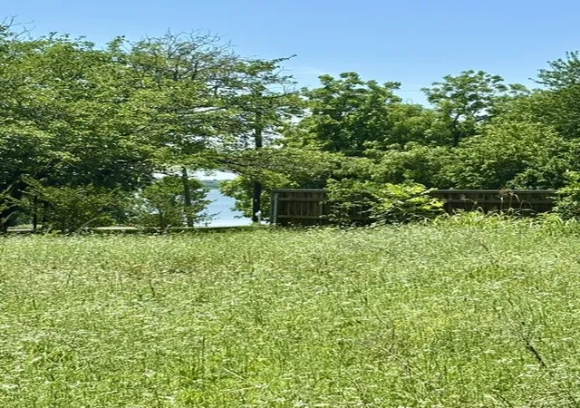 Photo 3 of Land for sale at 1345 Mike Rd, Quinlan, TX 75474 | MLS# 21266102 | Listing updated on 2026-09-04