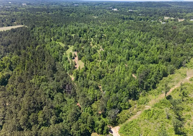 Photo 18 of Land for sale at 0 County Road 359 (off), Palestine, TX 75801 | MLS# 21270060 | Listing updated on 2026-09-11