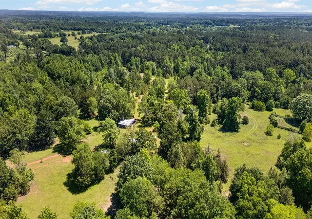 Photo 2 of Land for sale at 0 County Road 359 (off), Palestine, TX 75801 | MLS# 21270060 | Listing updated on 2026-09-11