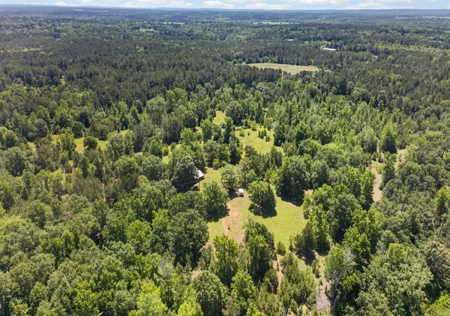 Photo 3 of Land for sale at 0 County Road 359 (Off), Palestine, TX 75801 | MLS# 21270060 | Listing updated on 2026-09-11
