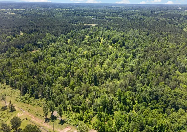 Photo 4 of Land for sale at 0 County Road 359 (Off), Palestine, TX 75801 | MLS# 21270060 | Listing updated on 2026-09-11